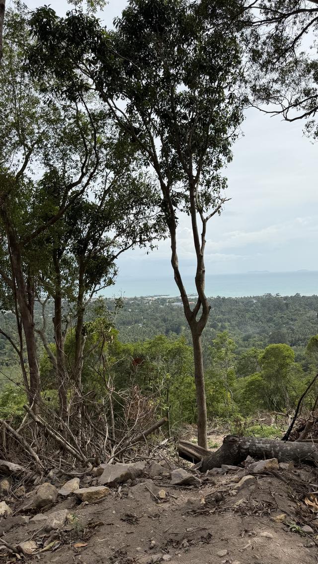 Prime Sunset & Sea View Land for Sale in Koh Samui – A Rare Investment Opportunity! 18