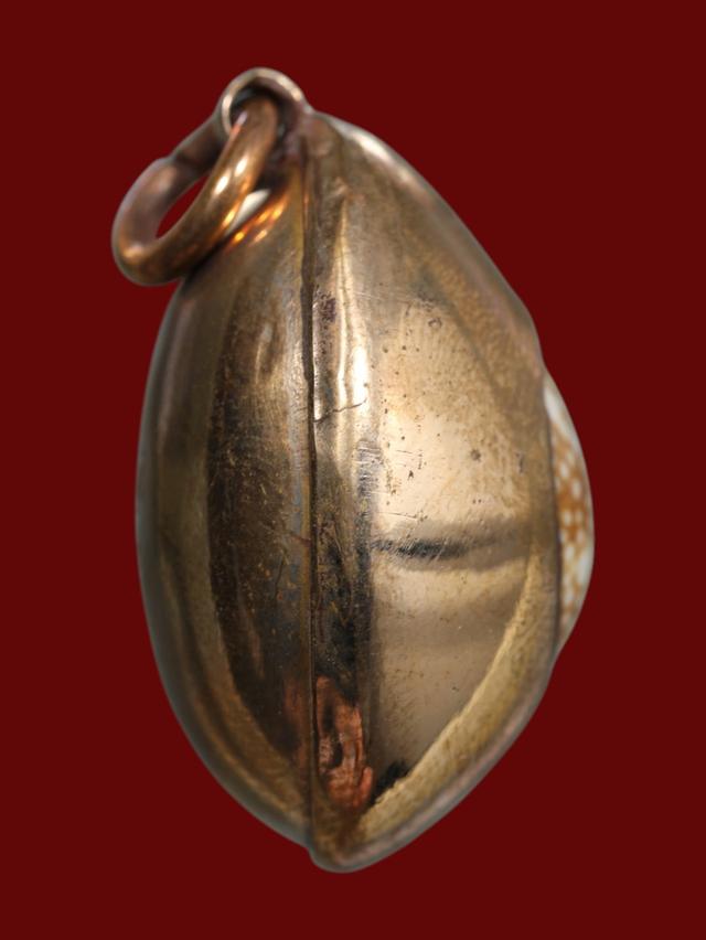 เบี้ยแก้หมง ตอกโค๊ต 18K หลวงพ่อนุ่ม วัดนางใน รูปที่ 4