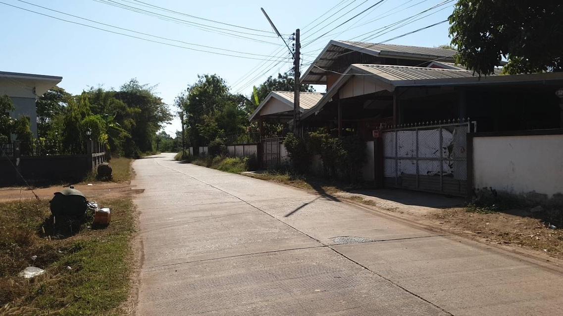 ขายด่วน ที่ดินแปลงสวย ติดถนน  ต.โนนสูง จ.อุดรธานี 2