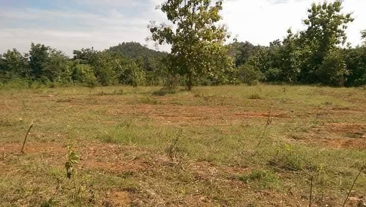 ที่รอออกเอกสารสิทธิ์7ไร่1งาน72ตารางวายกแปลง 220,000บาท​ ล้อมรั้วลวดหนามเรียบร้อย ติดถนนสาธารณะ 2ด้าน  มีต้นลำใยต้นมะม่วง ไผ่ มะพร้าว ต้นสัก ต้นมะขาม 6