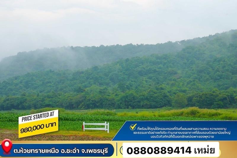 ที่ดิน ชะอำ เพชรบุรี ขนาด 1 ไร่ 980,000 บาท 7