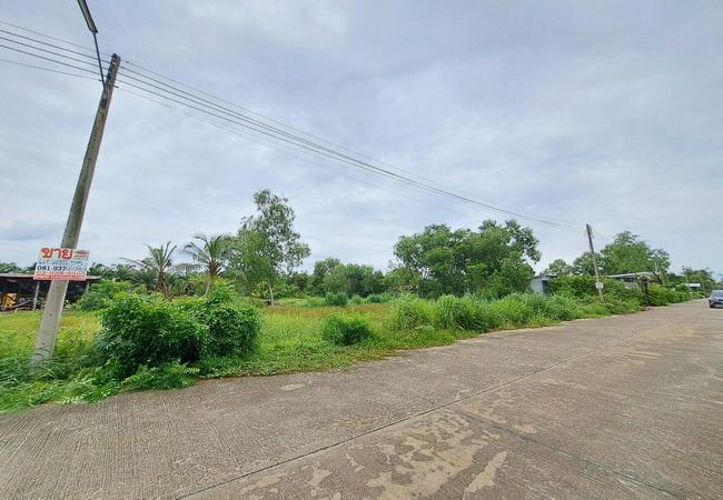 ขายที่ดิน คลอง 13 หมู่บ้านสมหวังการ์เด้น เนื้อที่ 75.70 ตร.ว. ถนนคอนกรีต น้ำไฟเข้าถึง 4