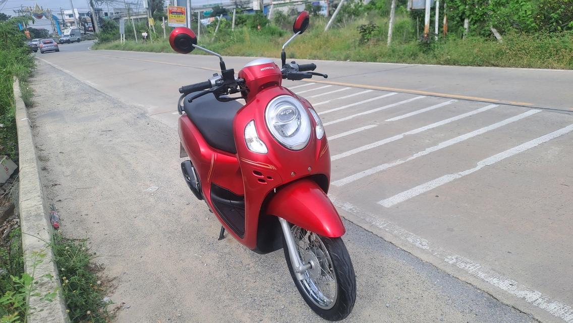 Scoopy i ปี2021 เอกสารครบ