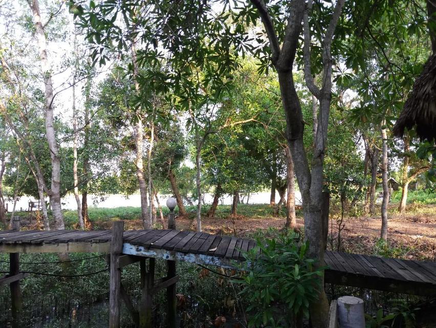 ที่ดินสวยติดแม่น้ำแม่กลอง 2