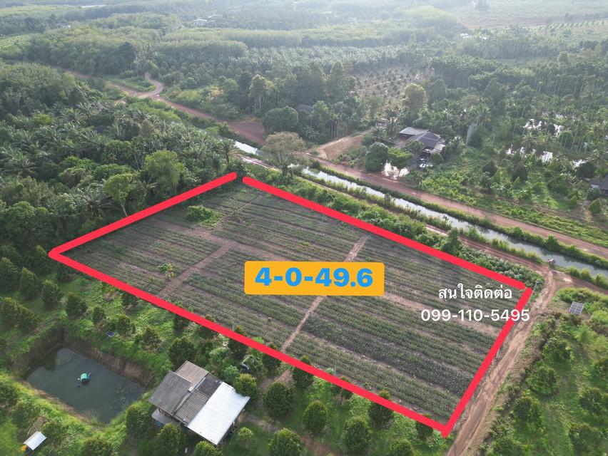 ที่ดินติดคลองส่งน้ำ ทำเลดี วิวสวย เหมาะสร้างบ้านสวน เนื้อที่ 4 ไร่ 49.6 ตรว. ต.บ้านนา อ.แกลง จ.ระยอง 2