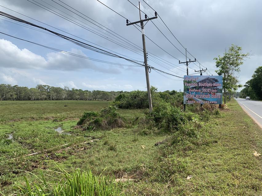 ทึ่ดินว่างเปล่าติดถนนใหญ่ 3