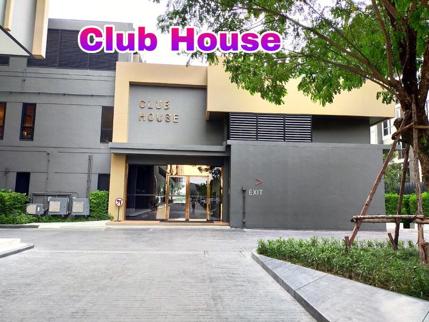 ขายคอนโด THE POLITAN RIVE นนทบุรี ช้้นที่ 21 สุดยอดคอนโดริมแม่น้ำ ราคาสุดพิเศษ 8