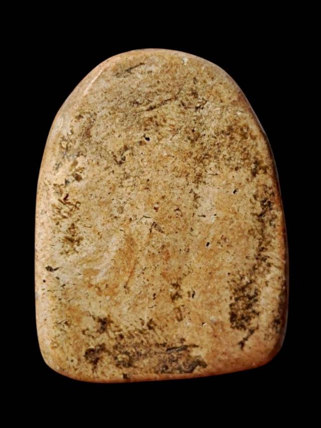 เปิดจ้า💞สนใจทักแชทได้เลยนะคะ 💚ส่งฟรีค่ะ 🥰 รูปที่ 3