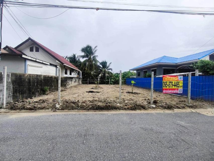 ขายที่ดินใกล้ม.กรุงเทพธนบุรี 61 ตรว ติดถนนสาธารณะ ถมแล้ว+ล้อมรั้วลวดหนาม ซ.ทวีวัฒนา-กาญจนาภิเษก 22 ตลิ่งชัน กทม. 1