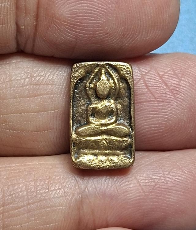 เหรียญตัดชิดหลวงปู่ศุข วัดปากคลองมะขามเฒ่า