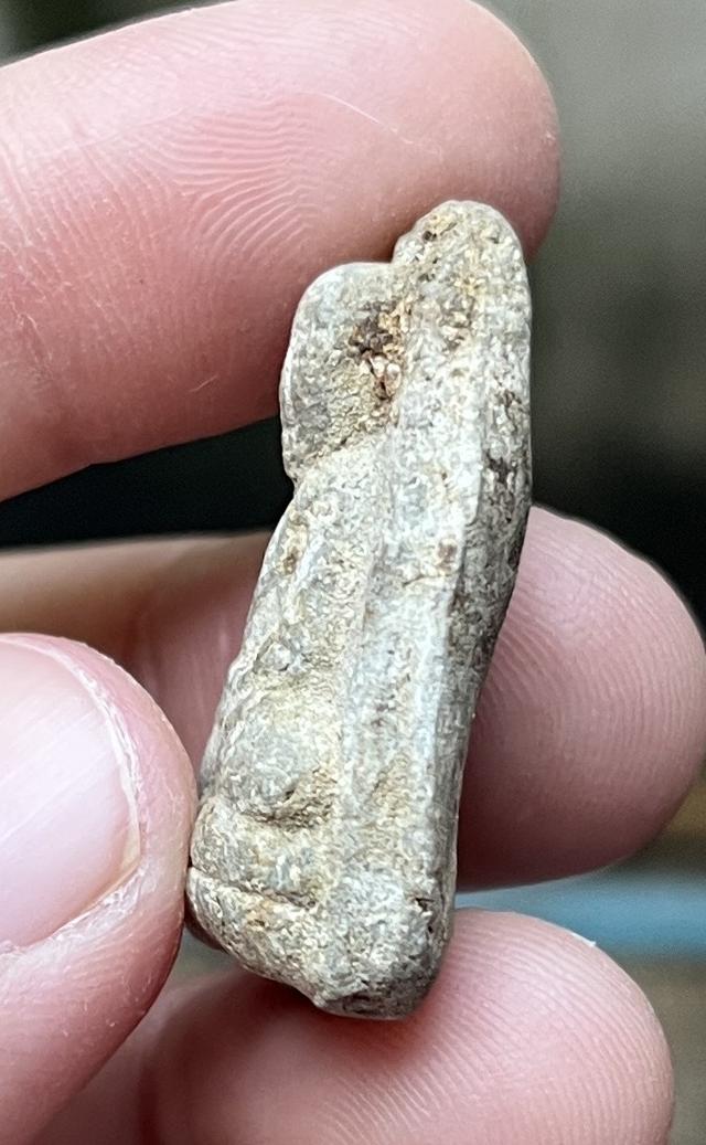 หลวงปู่ทวดเนื้อว่านเก่าๆ 5