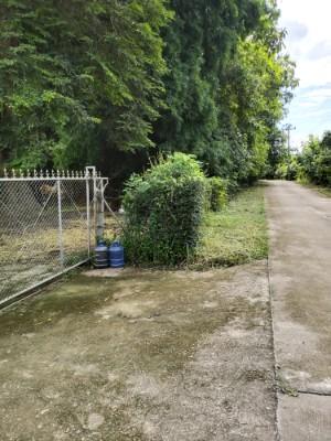 ที่โฉนดครุฑแดง2ไร่ จังหวัดน่าน สำหรับสร้างบ้านหรือบ้านสวน 7