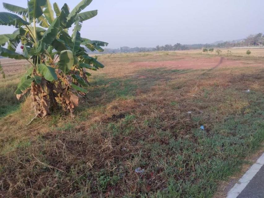 ขาย ที่ดิน ล่องสวน ห่างจากตัวเมืองราชบุรี 12 กม. ID-10777 5