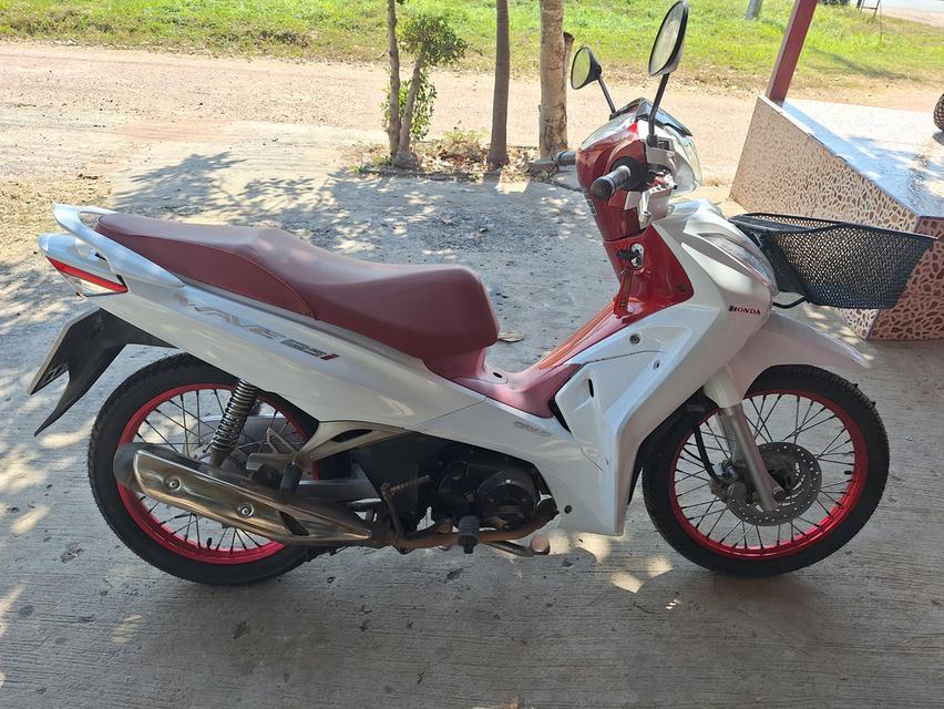 เวฟ125led ปี19 สตาจมือ