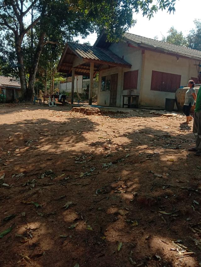 สวนห้อม ขายยกแปลง ไร่ละ 2.5 แสน มี 7 ไร่ 2 งาน