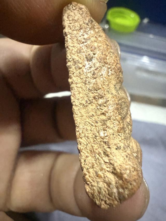 พระนางพญาพิษณุโลก(พิมพ์เข่าโค้ง) 2