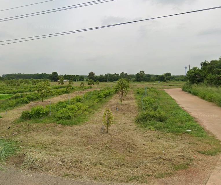 ขายที่ดินพร้อมสวนทุเรียนเนื้อที่ 2 ไร่ ติดถนน2ด้าน ใกล้นิคมเกตเวย์-11กม. อ.แปลงยาว ฉะเชิงเทรา
