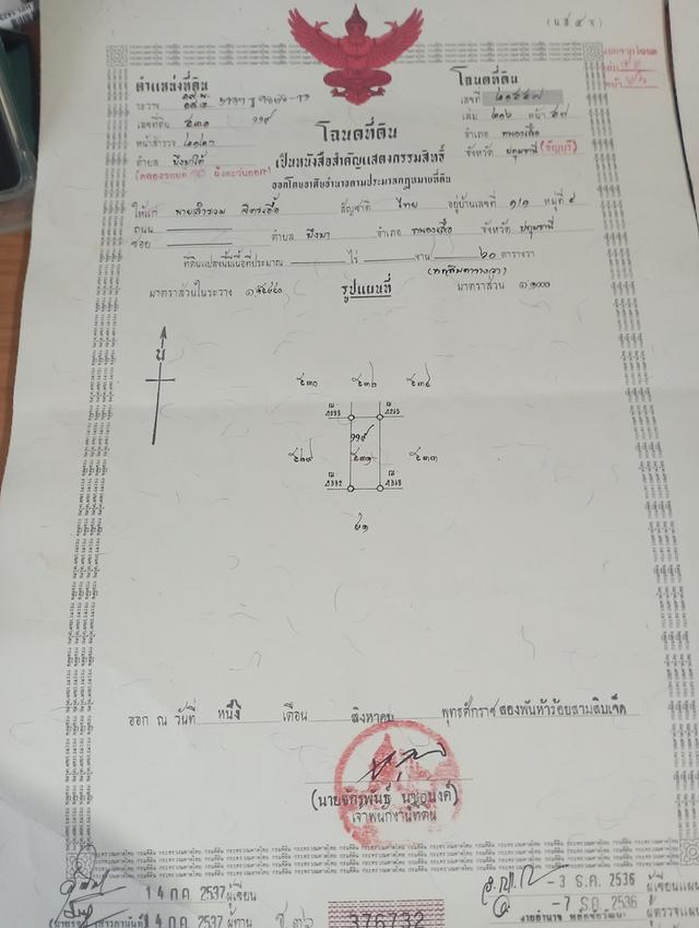 ที่ดินคลอง10 หนองเสือ  แปลงละ60 ตารางวา ราคา300000บาท 6