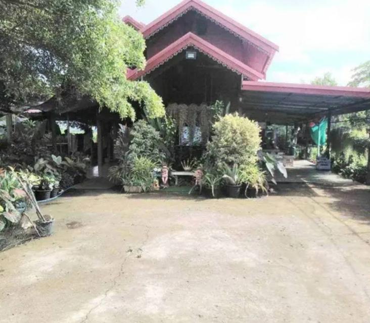 ขายที่ดินทำเลดี 2 ไร่ 3 งาน เจ้าของขายเอง คลอง13 หนองจอก ฝั่งตะวันออก  กทม 1