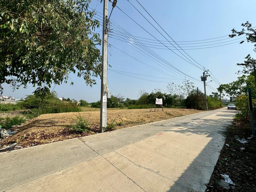 ให้เช่าที่ดินถมแล้ว 122 ตร.วา หน้ากว้าง 35 ม. 2