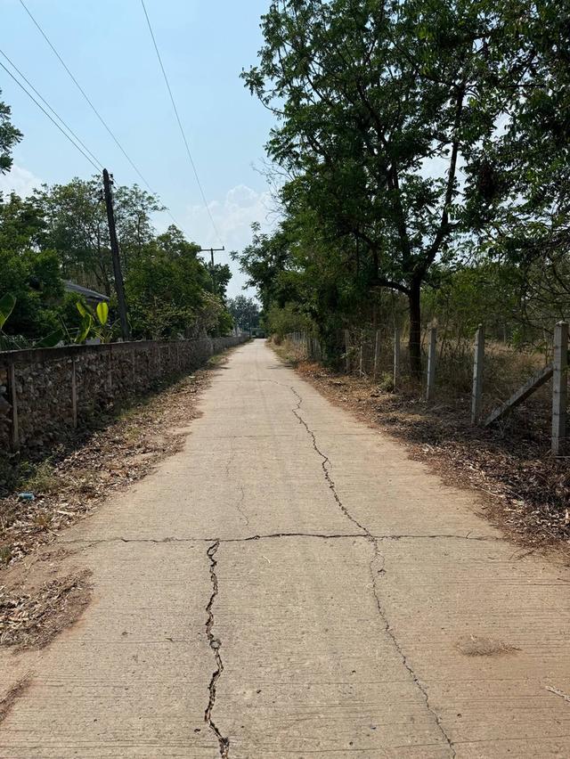 ที่ดินเปล่าภูเขียว 6 ไร่ 1