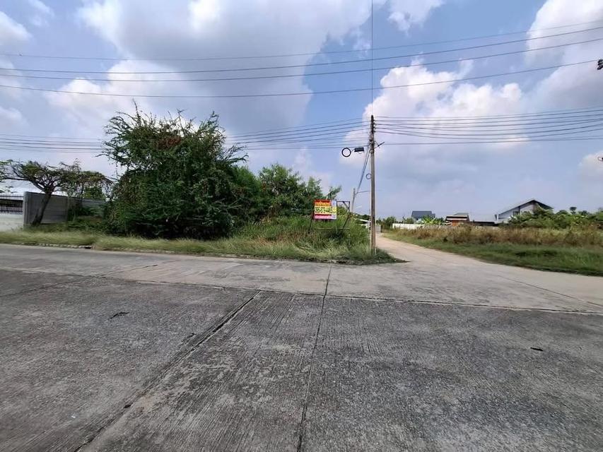 ขายด่วน ที่ดิน 198 ตารางวา ติดถนนคอนกรีต ถมแล้ว หมู่บ้านกฤษดานคร 26 นครชัยศรี นครปฐม 2