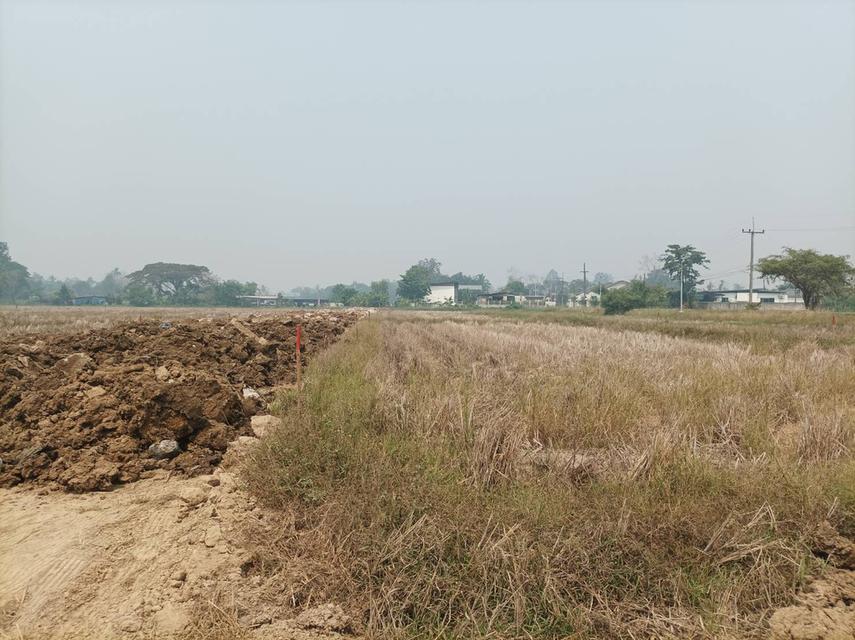 ขายที่ดิน 9,900บาท/ตร.ว. ต.สันปูเลย อ.ดอยสะเก็ด จ.เชียงใหม่ 12