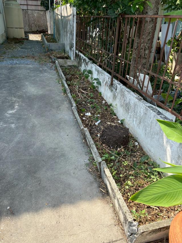 บ้านเดี่ยว รังสิต คลองสาม 11