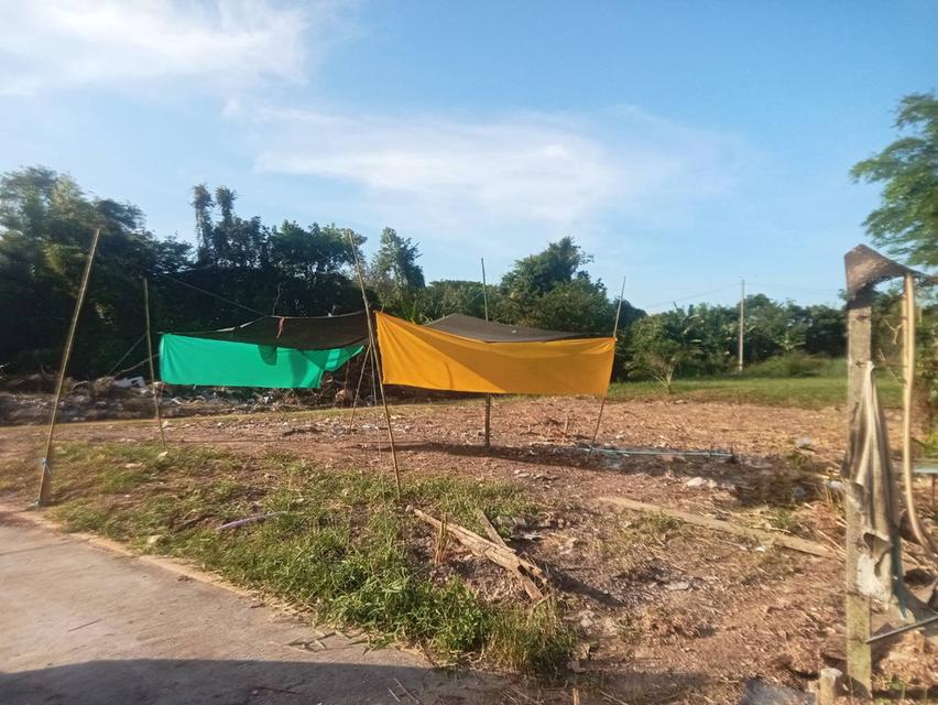 ขายที่ดินสวยๆ ใกล้เมืองจันทบุรี 6