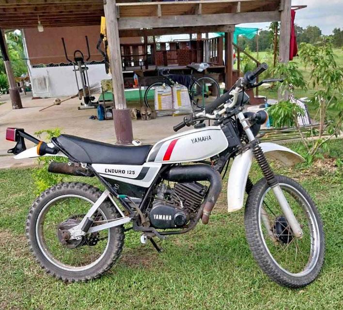 Yamaha DT125 ปี 1982 รถสภาพสวยมือสอง