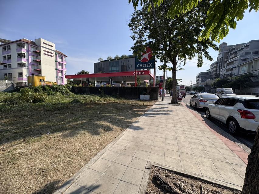 ให้เช่าที่ดินซอยลาดพร้าว71 ถมแล้ว 185 ตรว. ทำเลดี ติดถนนหลัก 1025 3