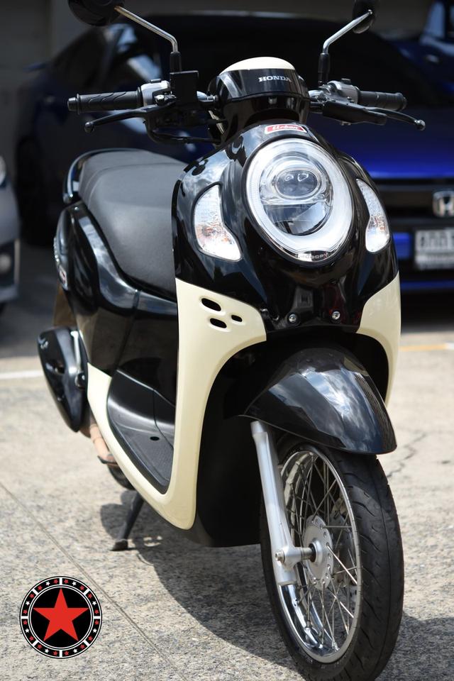 Honda Scoopy Urban 5