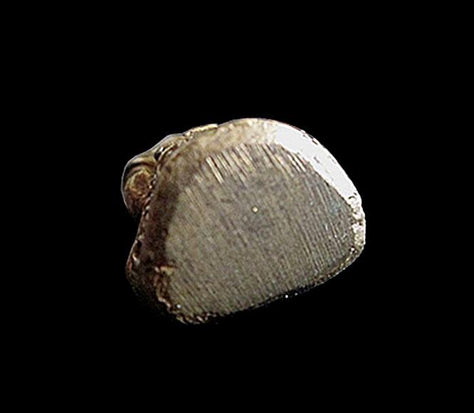 รูปหล่อหลวงพ่อกระจ่าง วัดเชิงทะเล จ.ภูเก็ต