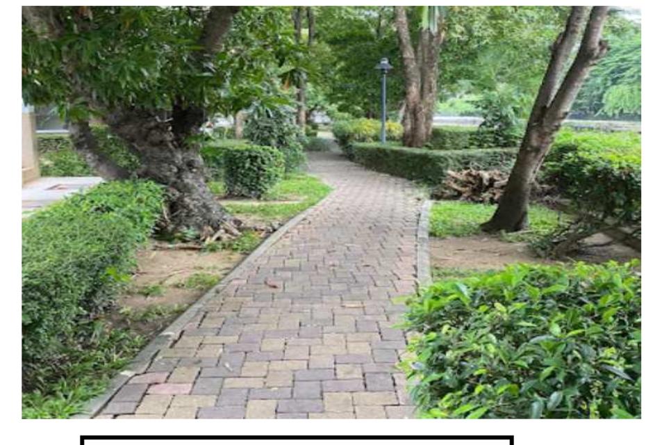 Lumpinivill Sukhimvit 77 8