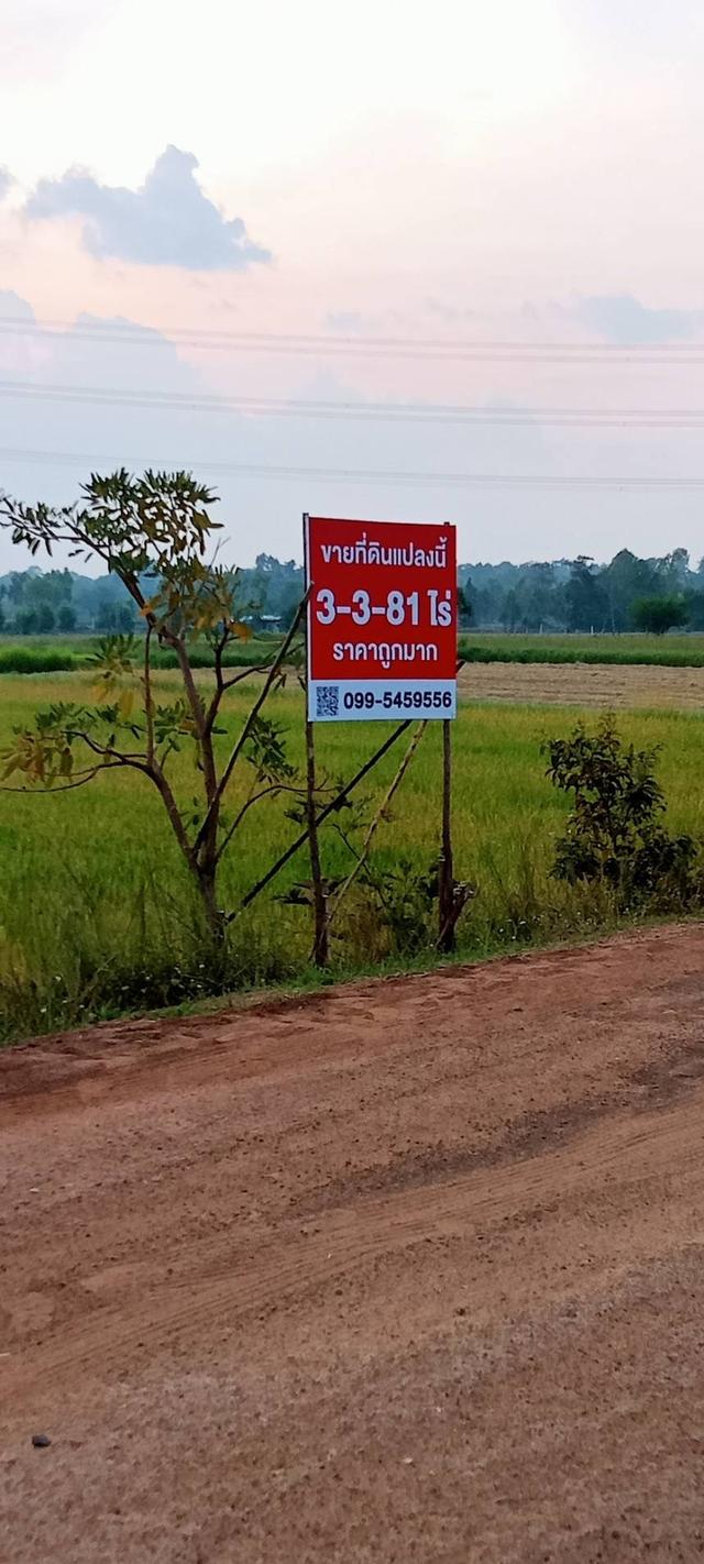 ขายที่ดิน 3 ไร่ 3 งาน 81 ตรว. ต.สีแก้ว เมืองร้อยเอ็ด ทำเลดี ราคาน่าจับจอง