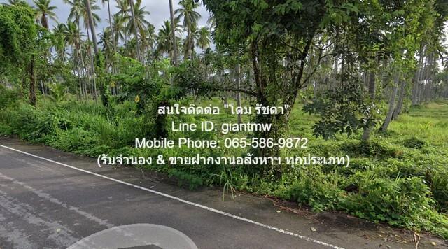 รหัส DHL-009.2 RENT ที่ดิน ืที่ดิน ทับสะแก จ.ประจวบคีรีขันธ์ 16000 ตารางวา 40000 B. ใกล้ อ่างเก็บน้ำบ้านทุ่งตาเค็ท เยี่ย 4