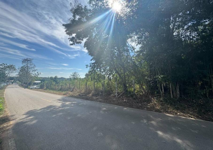 ขายที่ดินเปล่าติดถนน นิคมพัฒนา อำเภอเมืองลำปาง 6