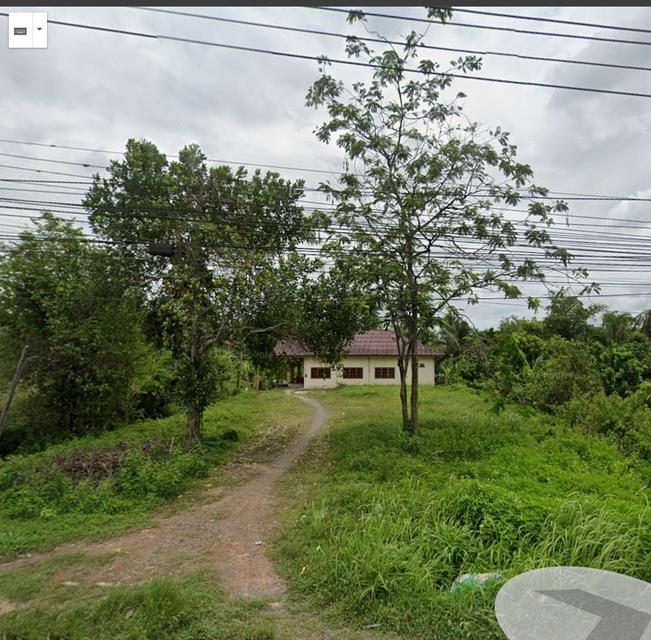 ที่ดิน เปล่า3ไร่ ตำบลป่าบอน อำเภอป่าบอน จังหวัดพัทลุง 4