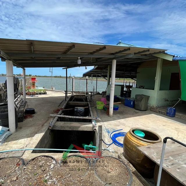 ขายที่ดินพร้อมบ่อน้ำและสิ่งปลูกสร้าง ขนาด23-0-62ไร่ ซ.กรมประมง โคกขาม มหาชัย 7