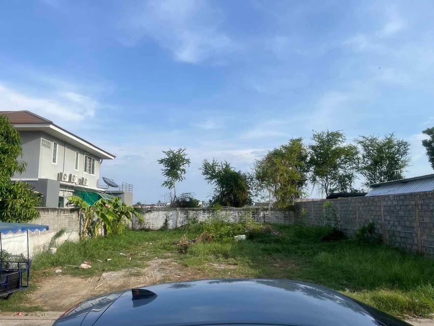 ที่ดินเปล่าขนาด 85 ตารางวา 3