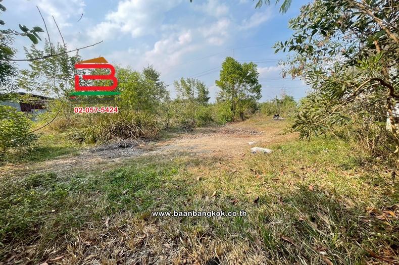 ที่ดินเปล่า เนื้อที่ 57 ตร.ว. ซอยอยู่รวยแลนด์ ถนนรังสิต-นครนายก ตำบลหนองสามวัง อำเภอหนองเสือ ปทุมธานี 3