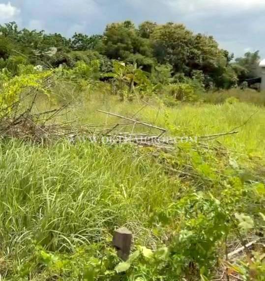 ที่ดิน ใกล้ถนนพิษณุโลก-หล่มสัก อ.วังทอง จ.พิษณุโลก 10