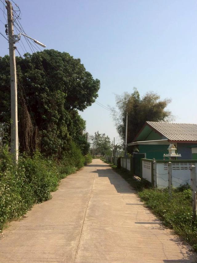 บ้านพร้อมที่ดิน เชียงราย 6