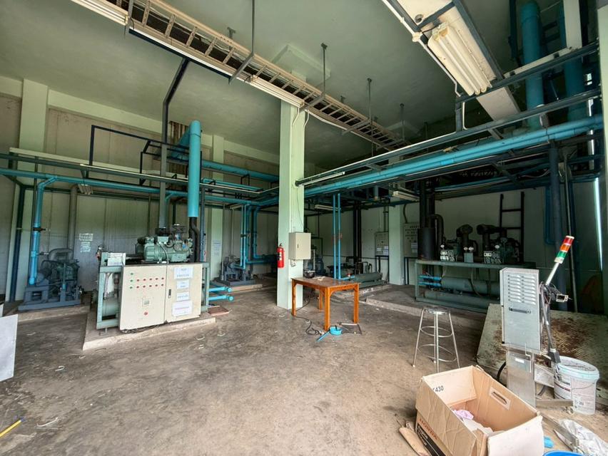 ขาย โรงงาน FA064 ฟรีสดาย ปากน้ำแหลมสิงห์ แหลมสิงห์ จันทบุรี . 4500 ตรม 11 ไร่ 41.4 ตรว มีใบอนุญาติ รง 4 ใบ แถมฟรีเครื่อง 6