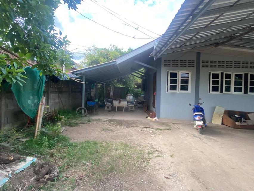 ที่ดินพร้อมสิ่งปลูกสร้างเชียงราย 10