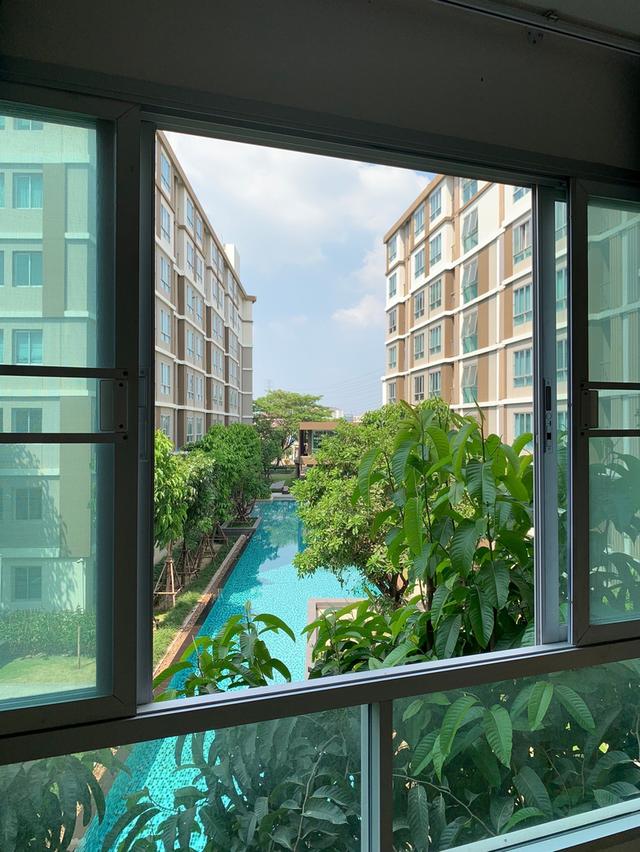 ให้เช่า Dcondo Campus Resort Rangsit เฟส2 วิวสระว่ายนำ้  ชั้น3 ตึกB เฟอร์นิเจอร์ครบ พร้อมเข้าอยู่ 9,000 3