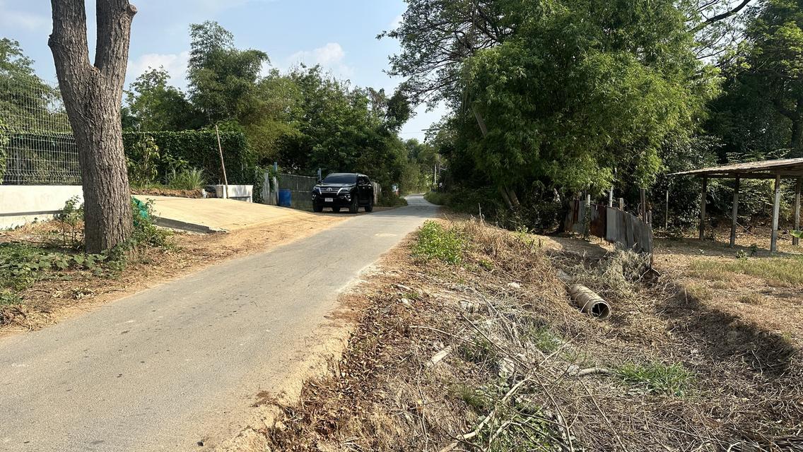 ขายที่ดิน 1 ไร่  950,000.- บาท อ.เมือง  พระนครศรีอยุธยา 5