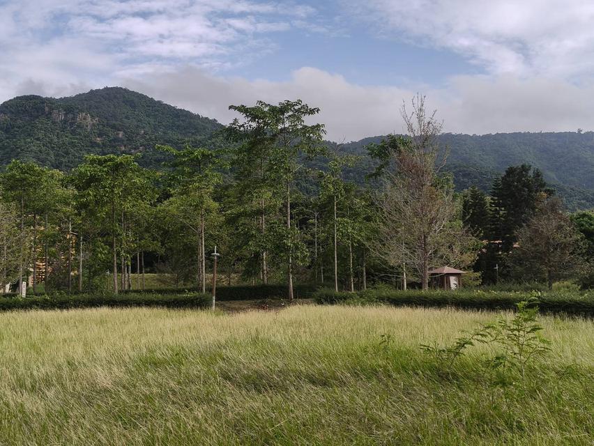 ขายที่ดินเขาใหญ่ ที่ดินในโครงการทอสคานา Toscana ราคาดีมาก โซนใกล้อุทยานแห่งชาติเขาใหญ่ วิวเขาสวย บ้านพักตากอากาศ หมูสี โป่งตาลอง ปากช่อง 087-9074045 1