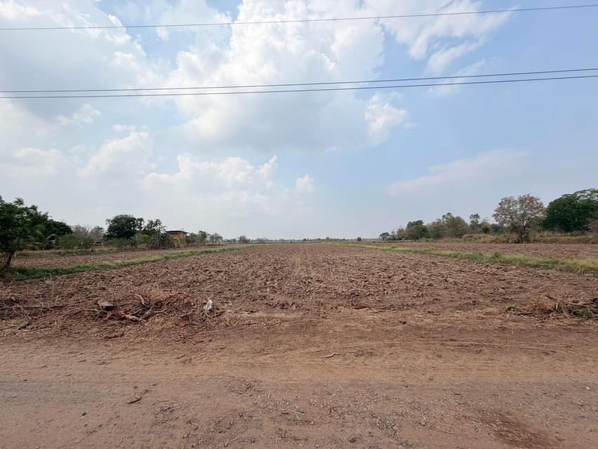 📍ขายที่นา 4ไร่ 3งาน 3.1ตารางวา หน้ากว้าง 38 เมตร น้ำไม่เคยท่วม มีไฟฟ้า น้ำปะปา ติดถนน 3