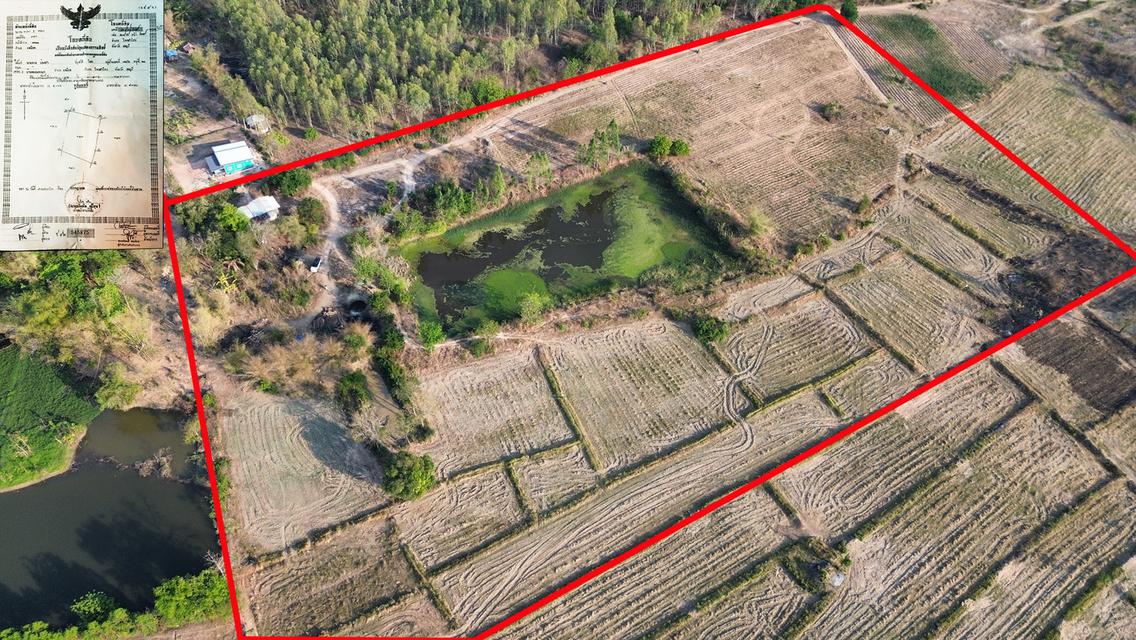 ขายที่ดินลพบุรี ตำบลเพนียด อำเภอโคกสำโรง 1